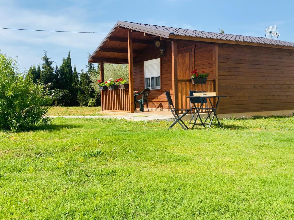 Casa Dominaty Panzió Cálig Kültér fotó