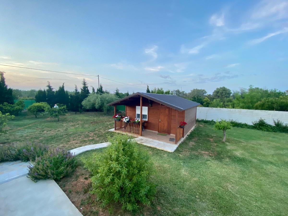 Casa Dominaty Panzió Cálig Kültér fotó