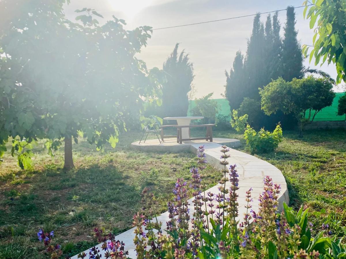 Casa Dominaty Panzió Cálig Kültér fotó